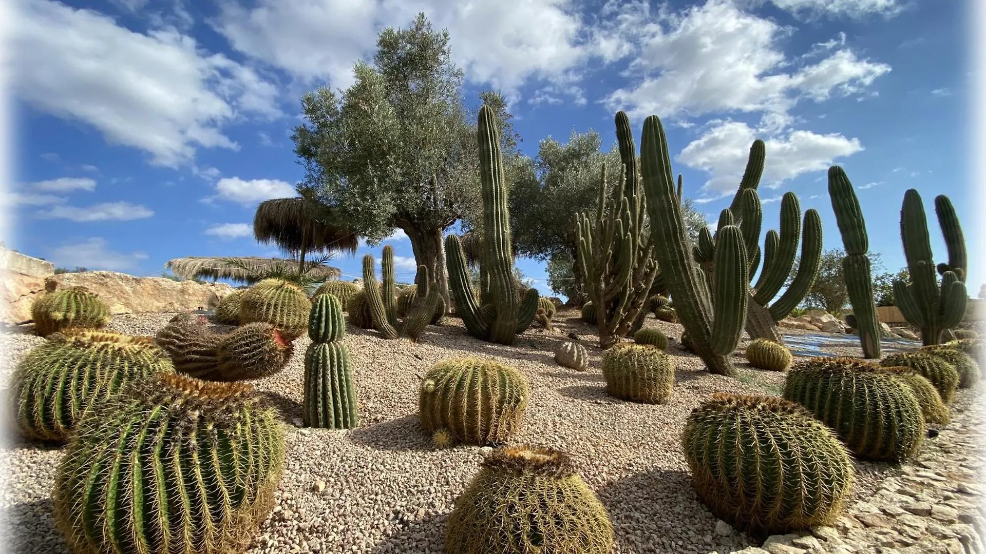 Agroturismo Es Gallicant Campos