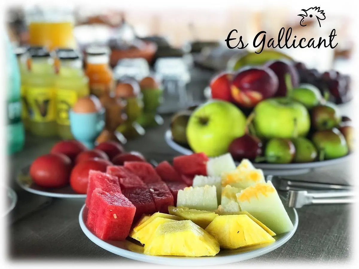 Agroturismo Es Gallicant Campos  0*, Campos (Mallorca) España