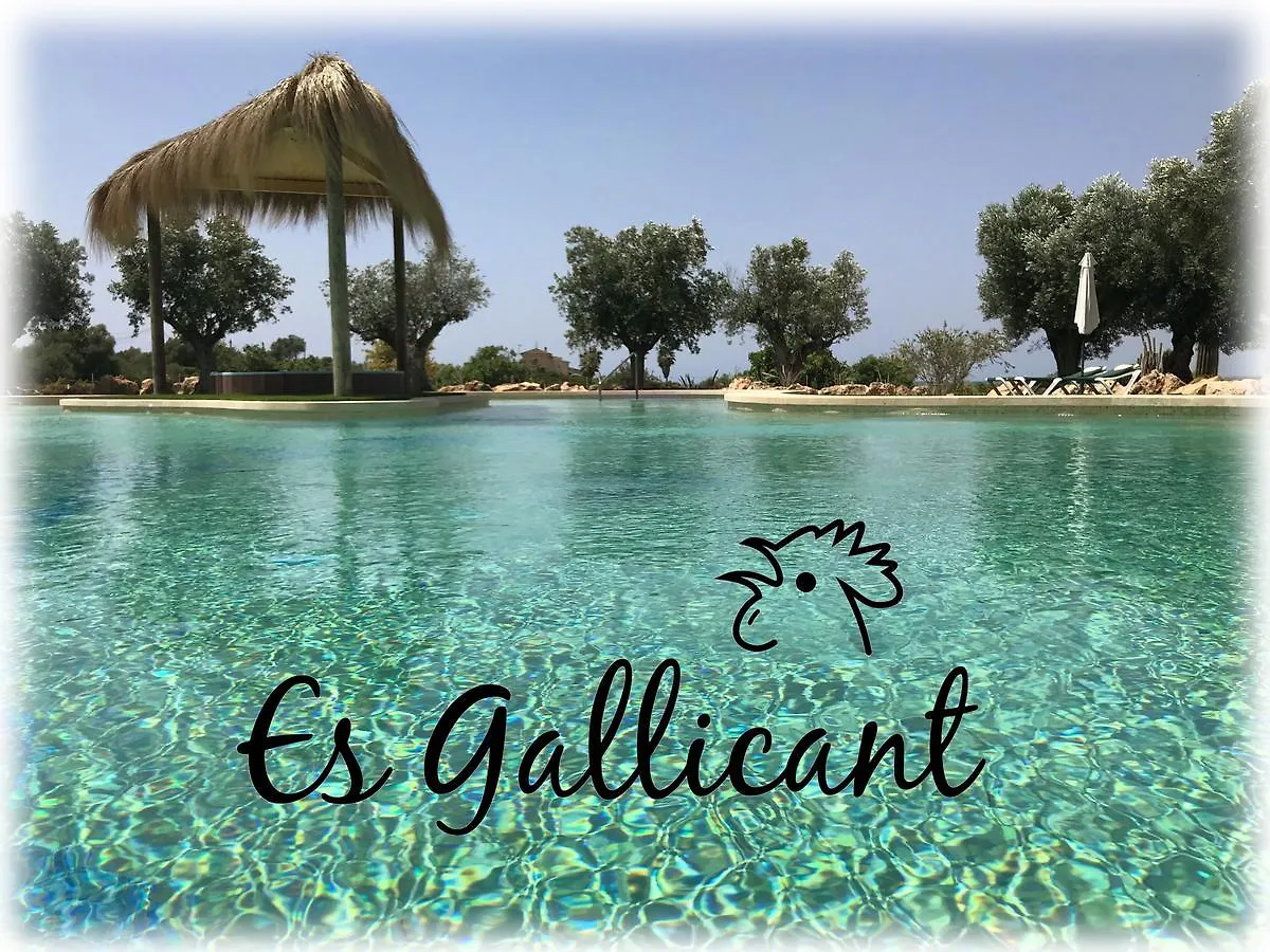 Agroturismo Es Gallicant Campos   Campos (Mallorca)